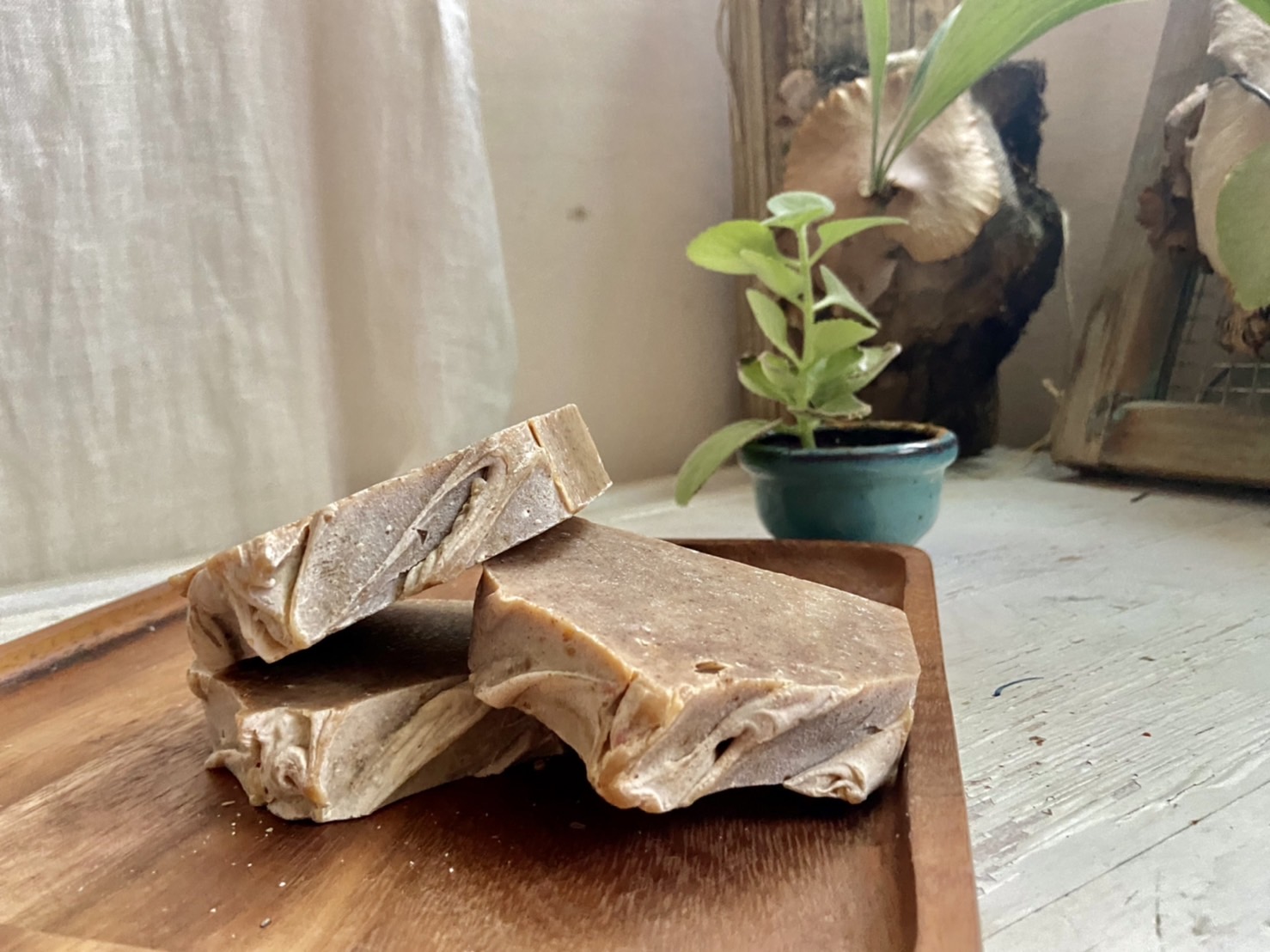 手工無患子柏葉洗髮皂